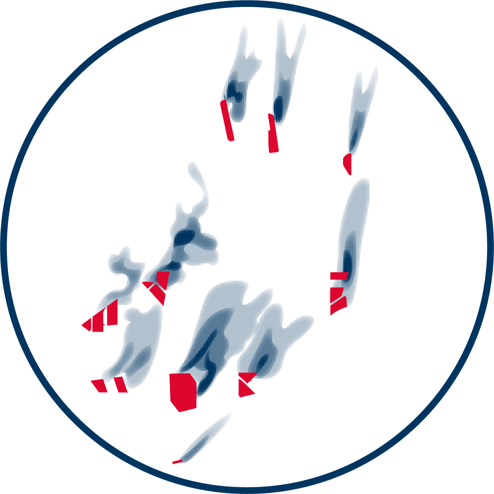 Interaktive Grafik - Bild zu Strömungsänderung