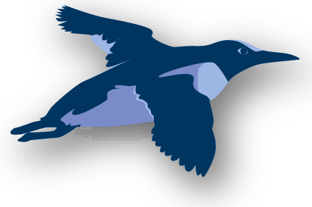 Interaktive Grafik - Bild zu Trottellumme