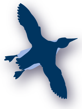 Interaktive Grafik - Bild zu Trottellumme