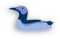 Interaktive Grafik - Bild zu Seetaucher