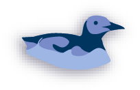 Interaktive Grafik - Bild zu Seetaucher