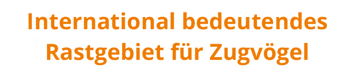 Interaktive Grafik - Bild zu Rastgebiet