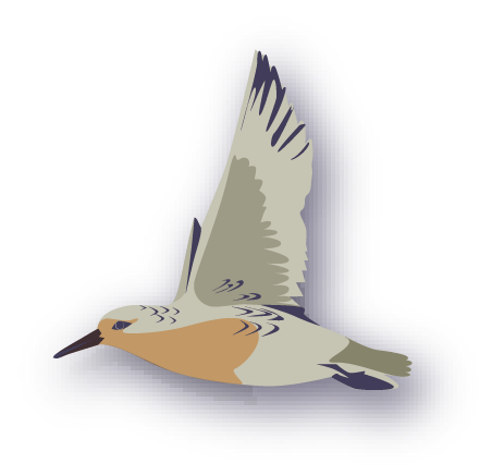 Interaktive Grafik - Bild zu Knutt