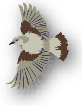 Interaktive Grafik - Bild zu Steinschmätzer