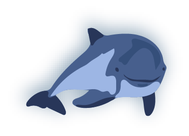 Interaktive Grafik - Bild zu Schweinswal